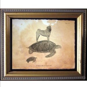 Shar Pei on Turtle Wall Art Print Tea Stained